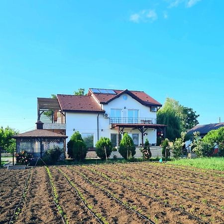 Nobless Villa Mereni  Exterior photo
