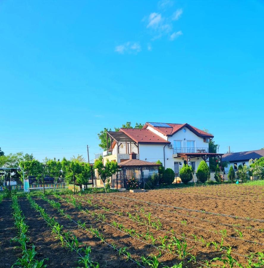 Nobless Villa Mereni  Exterior photo