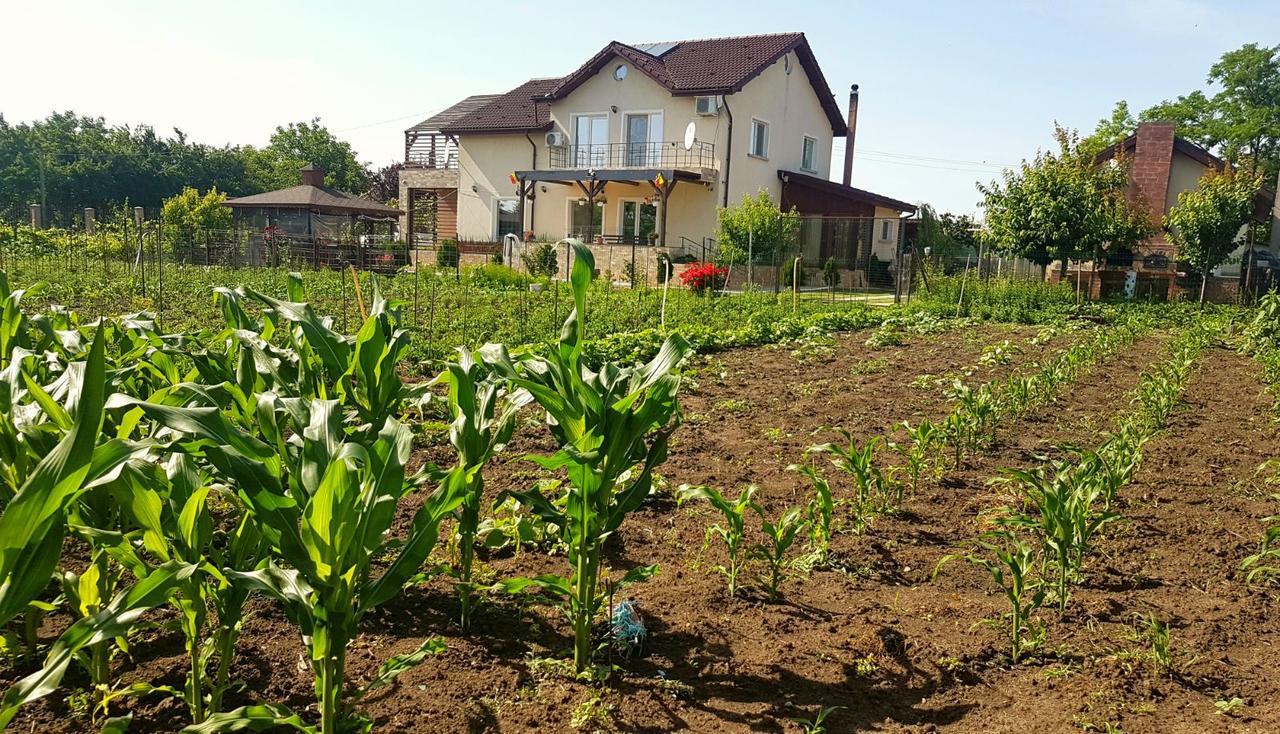 Nobless Villa Mereni  Exterior photo